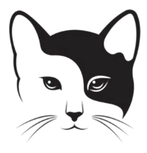 CAT ROBOT
